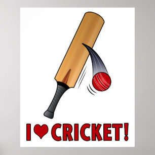 Poster J'aime chauve-souris et balle de cricket
