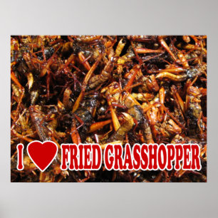 Poster J'aime (coeur) la sauterelle frite