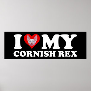 Poster J'aime (Cœur) Mon Cornish Rex