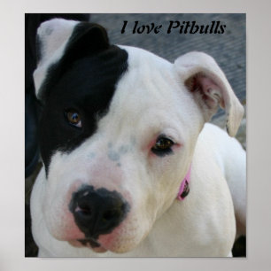 Poster J'aime l'affiche de Pitbulls