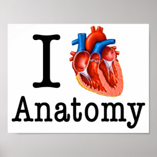 Poster J'aime l'anatomie