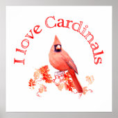 Poster J'aime les cardinaux (Devant)