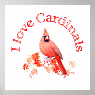 Poster J'aime les cardinaux