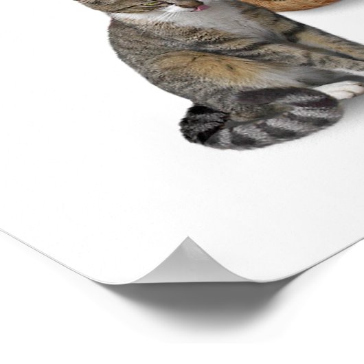 Poster J'aime les chats (Coin)