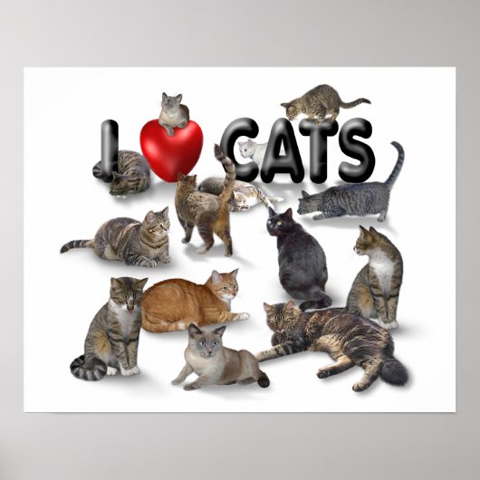 Poster J'aime les chats (Devant)