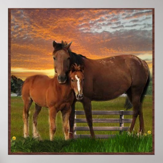 Poster J'aime les chevaux (Devant)
