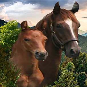 Poster J'aime les chevaux
