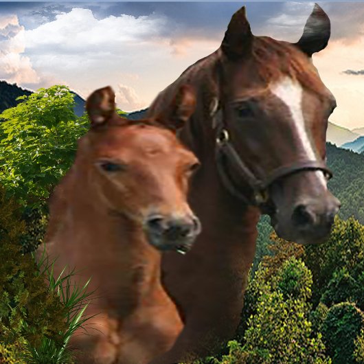 Poster J'aime les chevaux