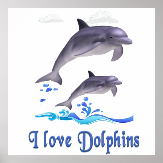 Poster J'aime les dauphins (Devant)