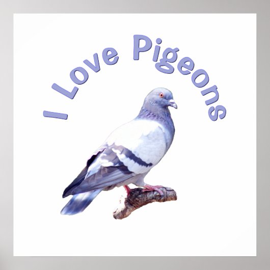 Poster J'aime les pigeons (Devant)