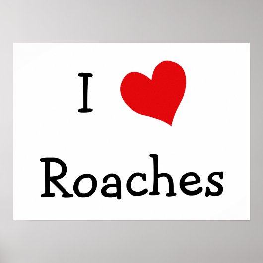 Poster J'Aime Les Roaches (Devant)