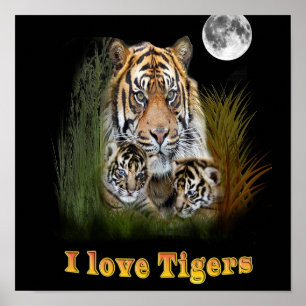 Poster J'aime les tigres