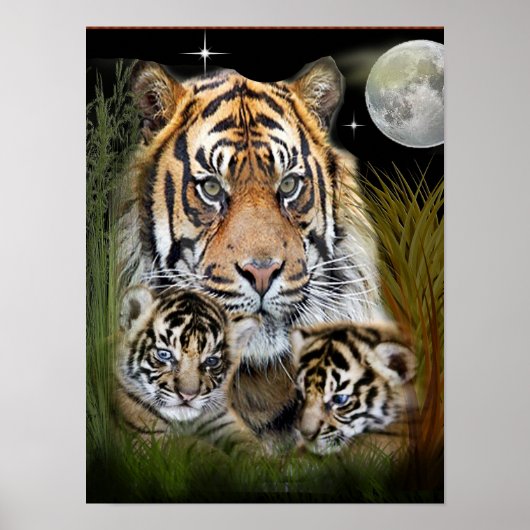 Poster J'aime les tigres (Devant)