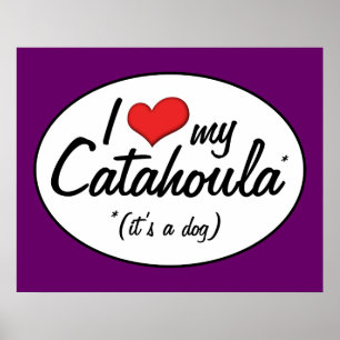 Poster J'aime mon Catahoula (c'est un chien)