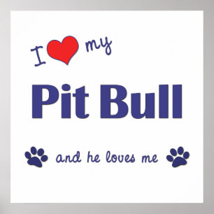 Poster J'aime mon pitbull (le chien masculin)