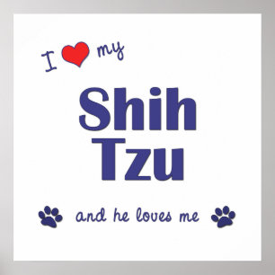 Poster J'aime mon Shih Tzu (le chien masculin)