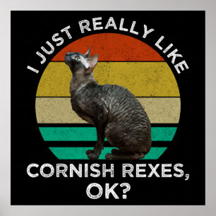 Poster J'aime vraiment beaucoup les Cornish Rex, OK ?