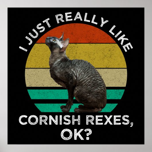 Poster J'aime vraiment beaucoup les Cornish Rex, OK ? (Devant)