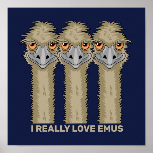 Poster J'aime vraiment les émeus (Devant)
