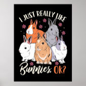 Poster J'Aime Vraiment Les Lapins (Devant)
