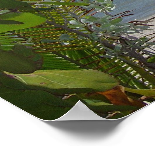 Poster J'Aimerais Y Être (Coin)