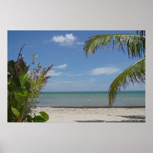 Poster J'Aimerais Y Être