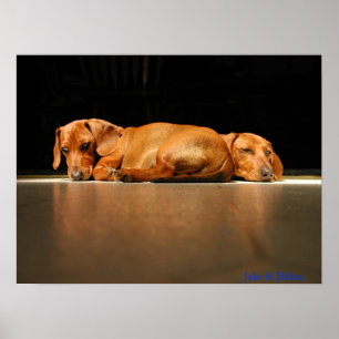 Poster Jake et Dillon