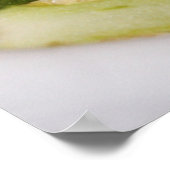 Poster Jalapeno Halves (Coin)