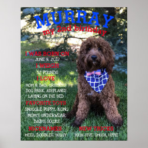 Poster Jalon personnalisé BARKday Chien Anniversaire de l