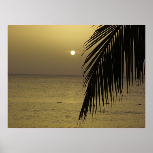 Poster Jamaïcain du coucher de soleil (Devant)