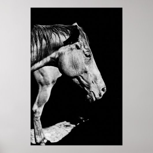 Poster jambe de cheval (Devant)