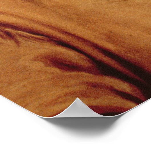 Poster James Butler (Coin)