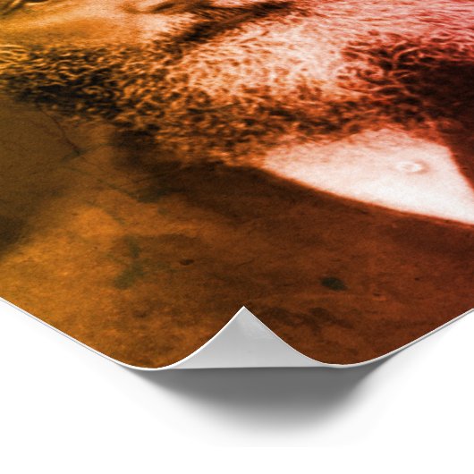 Poster James Clerk Maxwell (Coin)