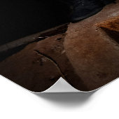 Poster James Dore' Trench (Coin)