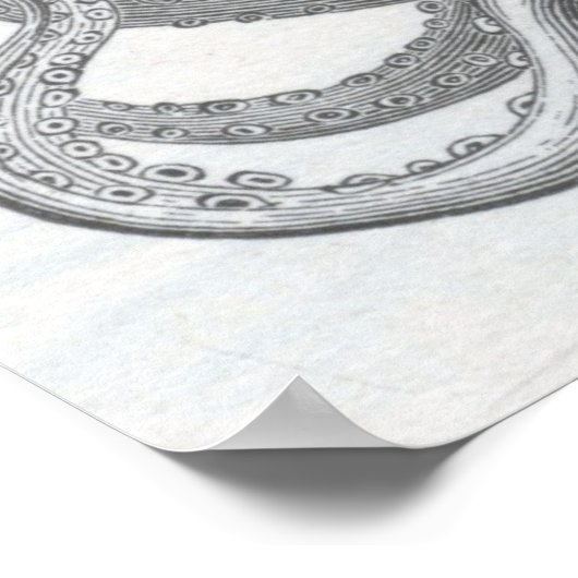 Poster James Johonnot - Octopus (Coin)