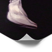 Poster James K. Polk 11e président des États-Unis (Coin)