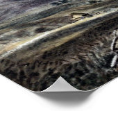 Poster James Madison Alden Rancho et Valley Père Noël Cru (Coin)