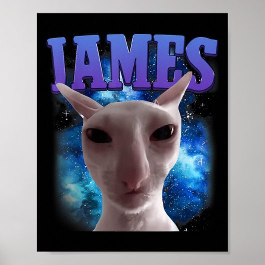 Poster James The Cat Meme Funny Silly Cats Brainrot Meme (Devant)