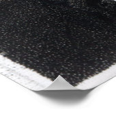 Poster James Wyatt Esq. RA (Coin)