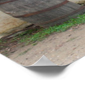 Poster Jamestown (Coin)