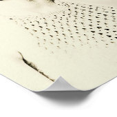 Poster Jane Austen Citation Tenderness - Décor maison (Coin)