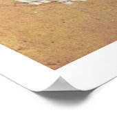 Poster Jane Avril Dancing Study Pour L'Affiche (Coin)