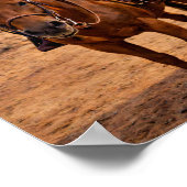 Poster "Jane & Bill" (Coin)