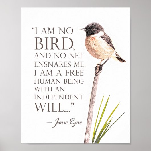Poster Jane Eyre - Je Ne Suis Pas Un Oiseau - Oiseau Brow (Devant)
