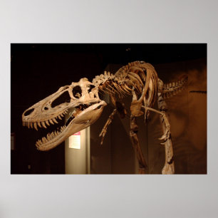 Poster Jane - vue #6