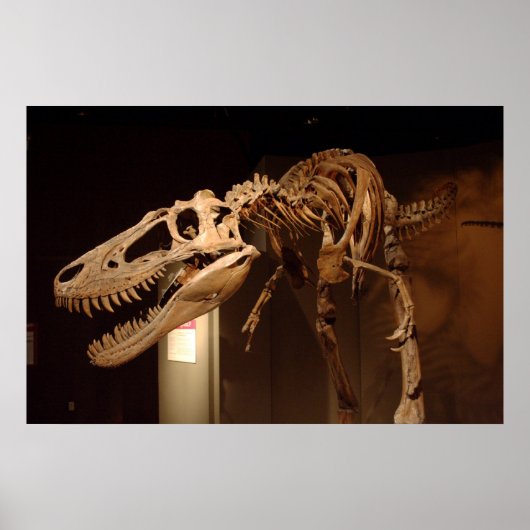 Poster Jane - Vue #6 (Devant)