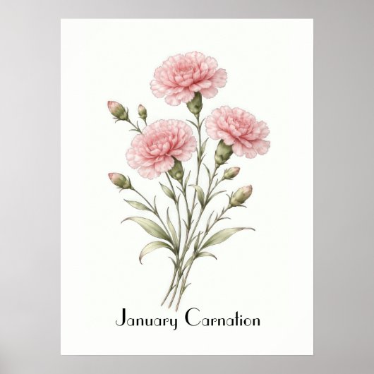 Poster January Carnation Flowers (Devant)