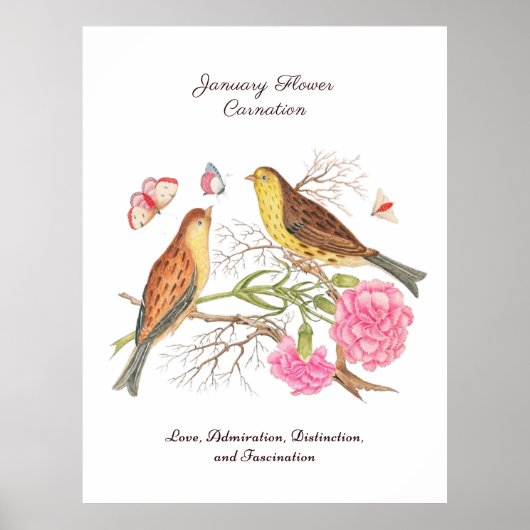 Poster Janvier Mois de naissance Fleur Anniversaire Cadea (Devant)