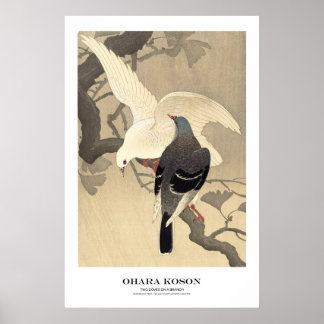 Poster Japanese Art Print - Ohara Koson - Doves