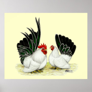 Poster Japanese Blacktail Bantams